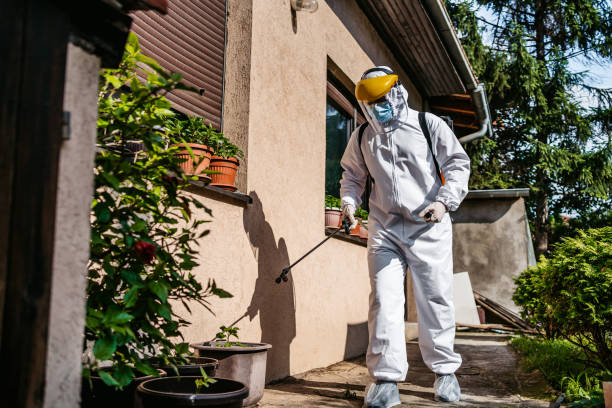 Best Flea Control Services  in Culloden, WV