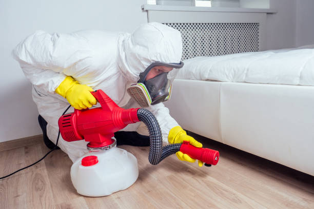 Trusted Culloden, WV Pest Control Experts
