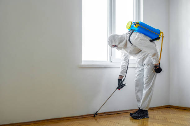 Best Cockroach Control Services  in Culloden, WV