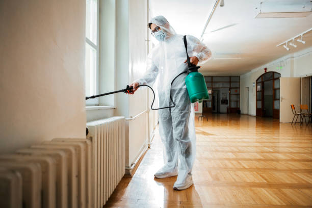 Best Local Pest Control Services  in Culloden, WV