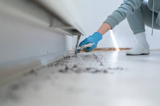 Best Ant Control Services  in Culloden, WV